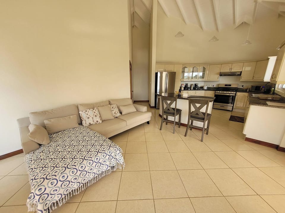 Open Floor Plan of Living Room, Kitchen and Island