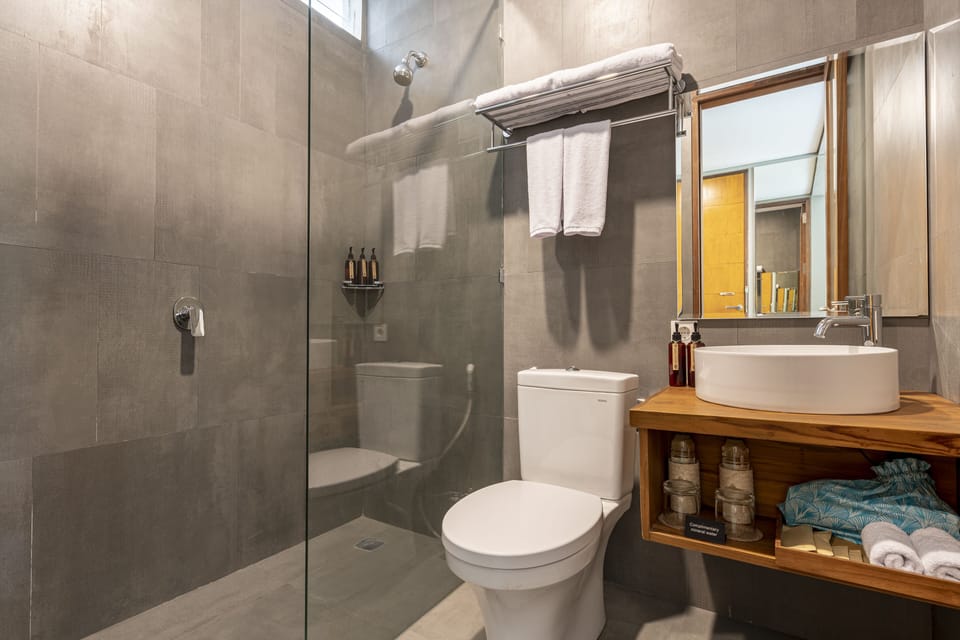 Shower, rainfall showerhead, hair dryer, bathrobes