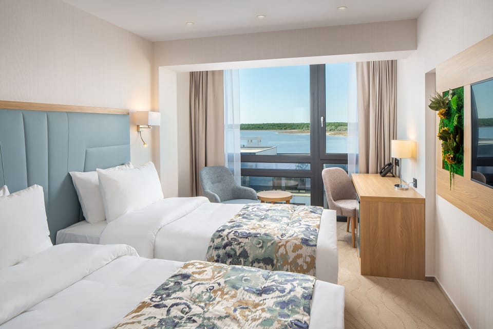 Standard Twin Room | Minibar, in-room safe, desk, laptop workspace
