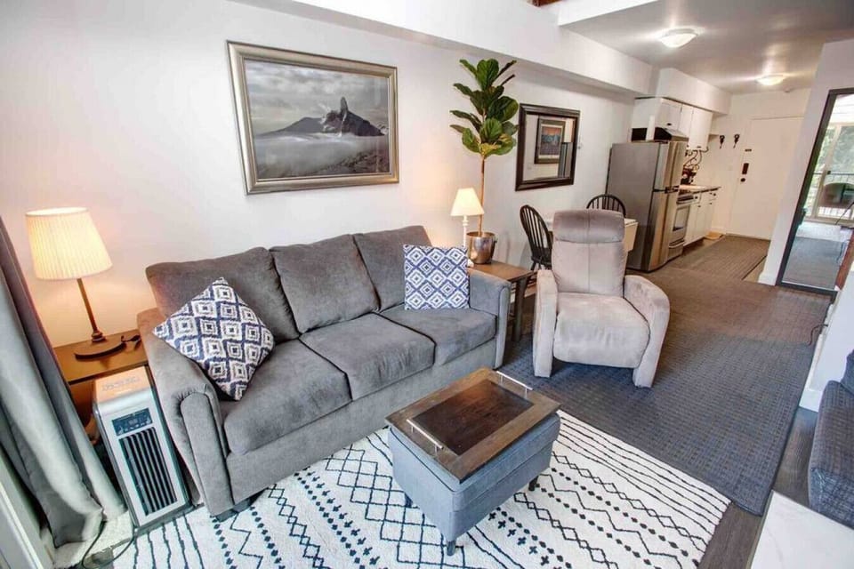 A great 3 seater sofa  in the living room and comfortable recliner. Relax in front of the wood burning fire after a long day on the hill