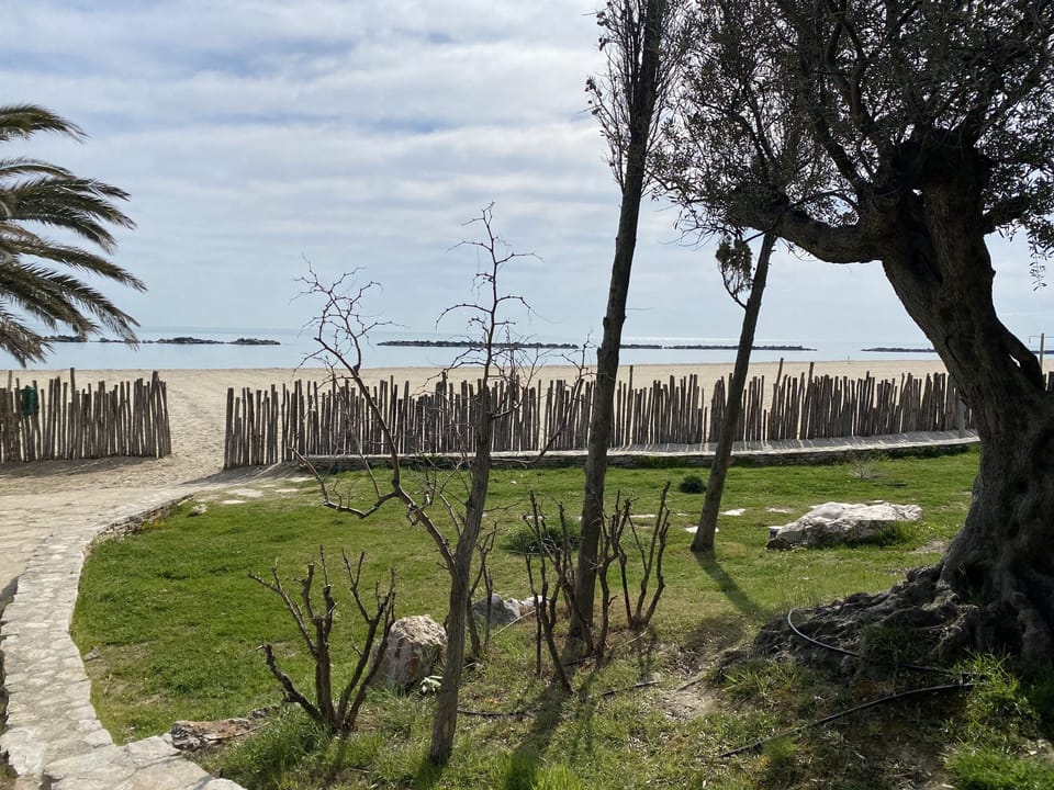 Beach
