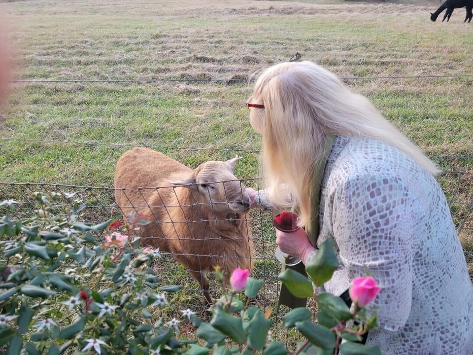 Pets at Parker Binns
