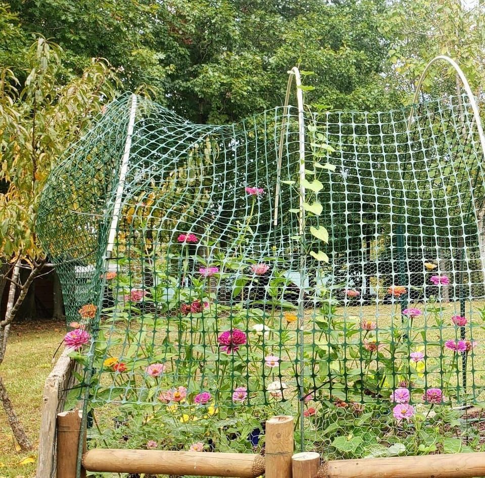 Front Flower garden
