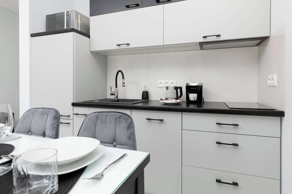 Fully equipped kitchenette with an induction hob, microwave oven, coffee machine, fridge, kettle and dishwasher.