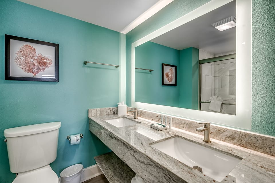 Primary bathroom