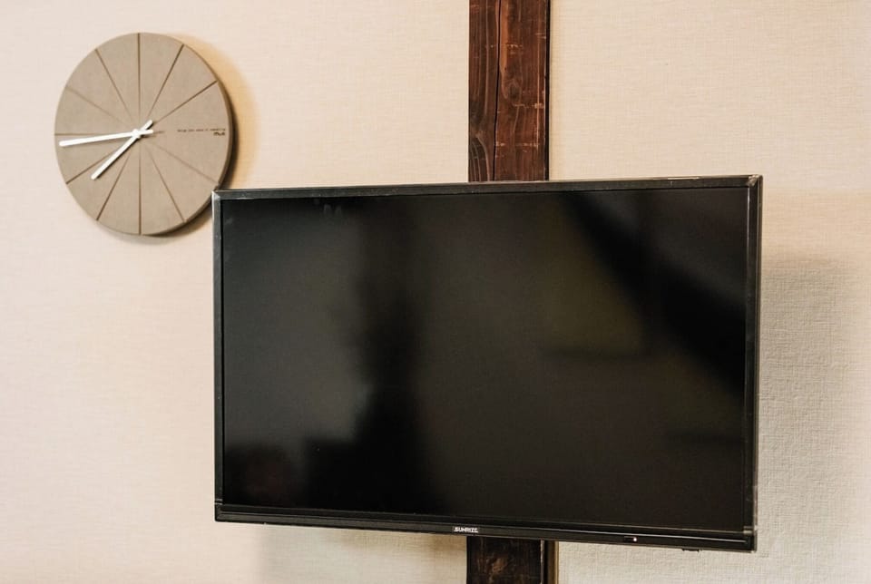 Television