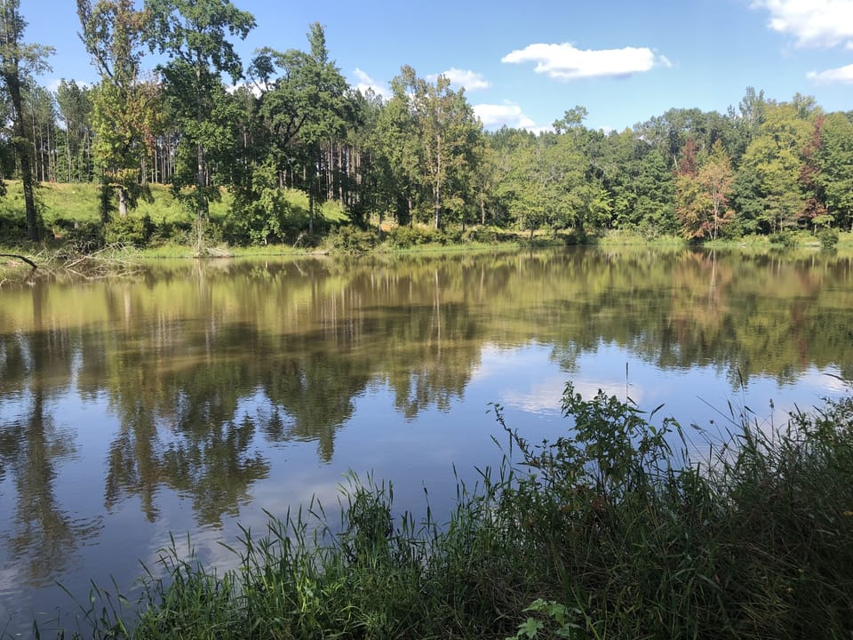 Take a ride on the golf cart and see if you can find the lake.