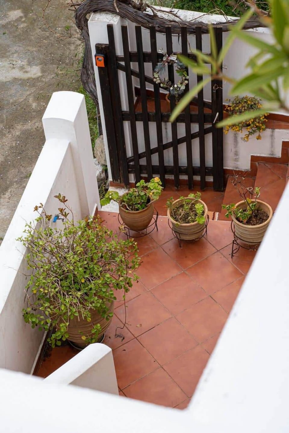 Entrance of the property – Iron gate with traditional Greek touches.

