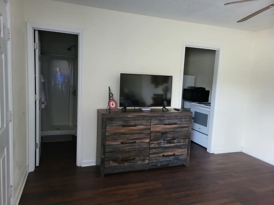 Vizio TV and Dresser