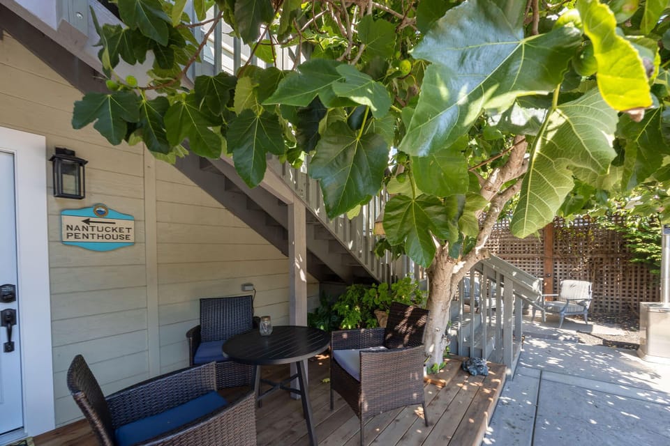 Refreshing Shade in the House's Garden