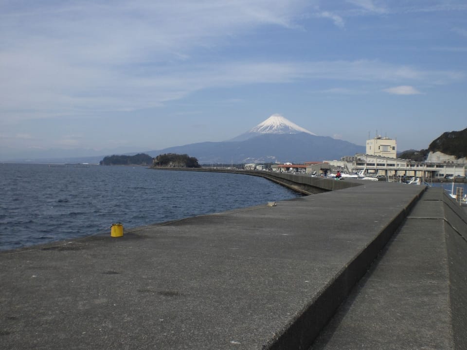 Large embankment in front of the house (Mecca for fishing)