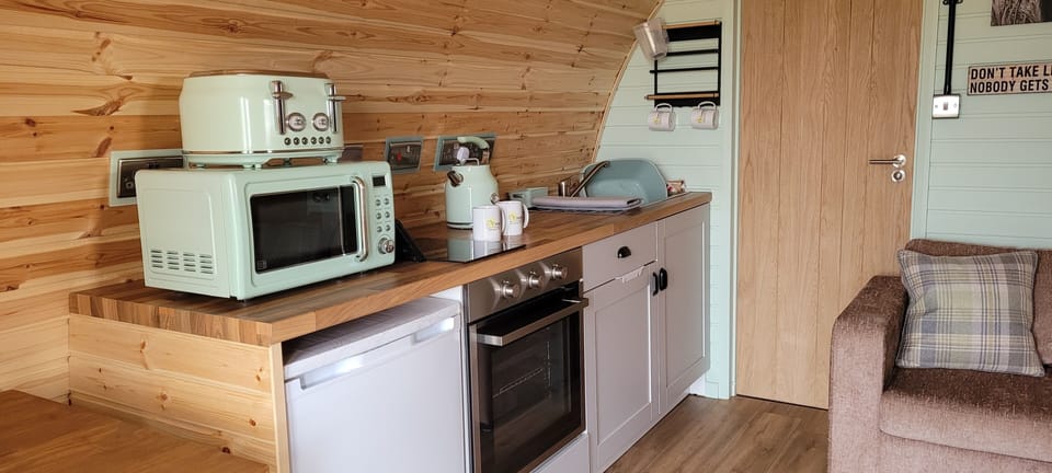 Cabin | Private kitchen | Fridge, microwave, oven, stovetop