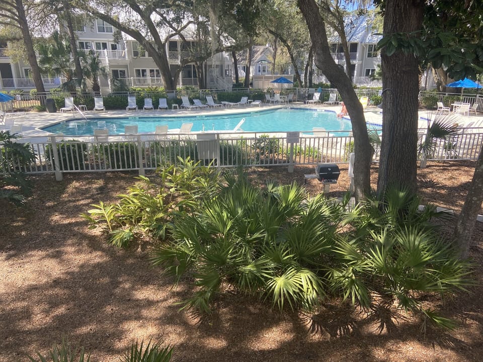 Taken from rear deck
#grillaburgerbythepool#dinnerbythepool
