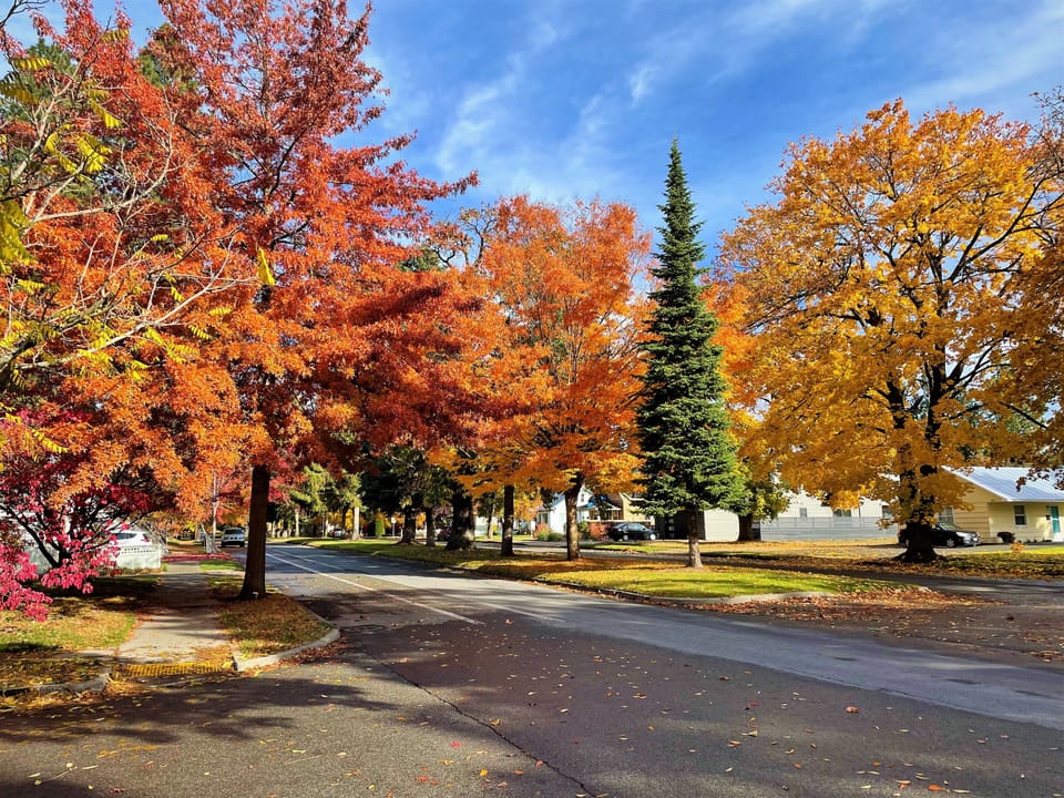 Front Porch - Fall