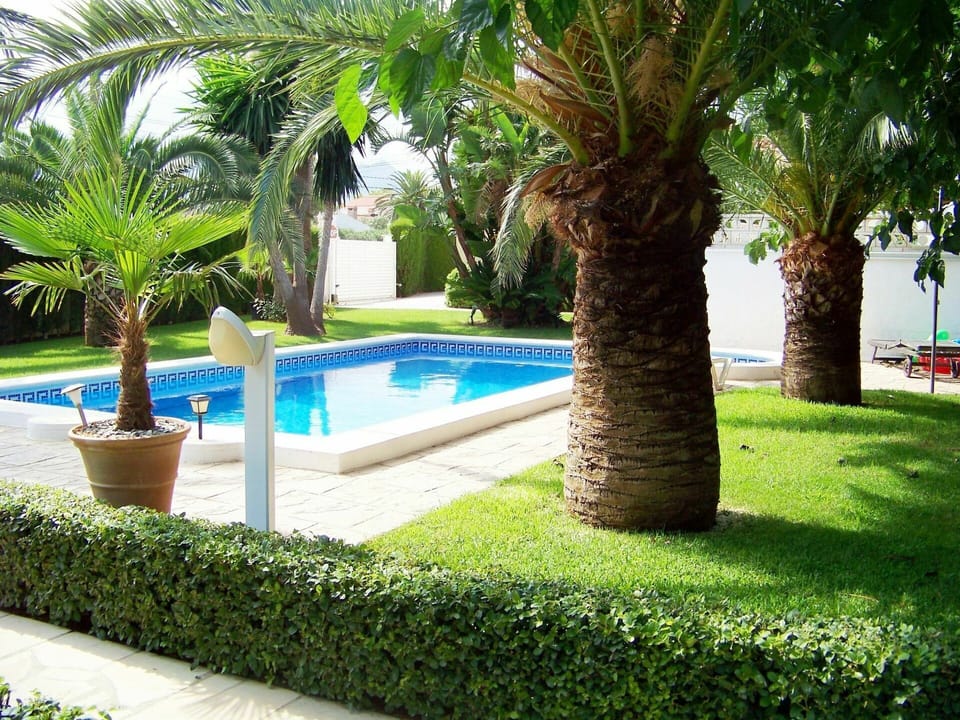 Water, Plant, Green, Tree, Azure, Arecales, Grass, Leisure, Landscape, Sky
