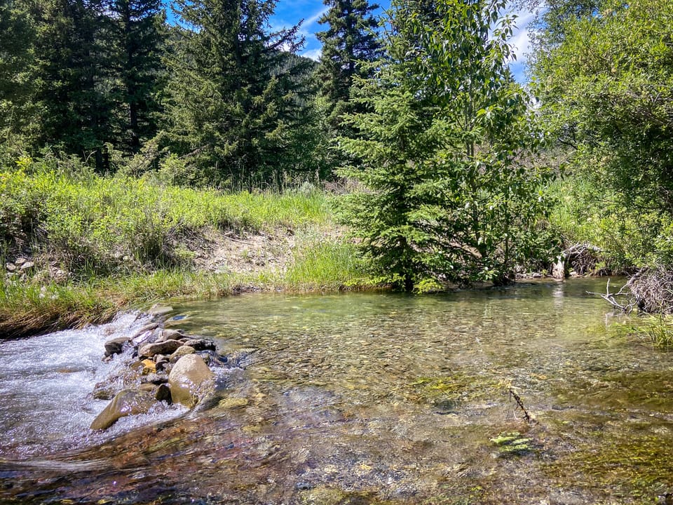 Big Timber Creek is walkable from the cabin.