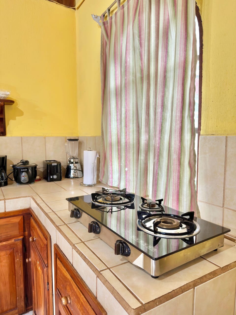Family Apartment (#9) | Private kitchenette | Mini-fridge
