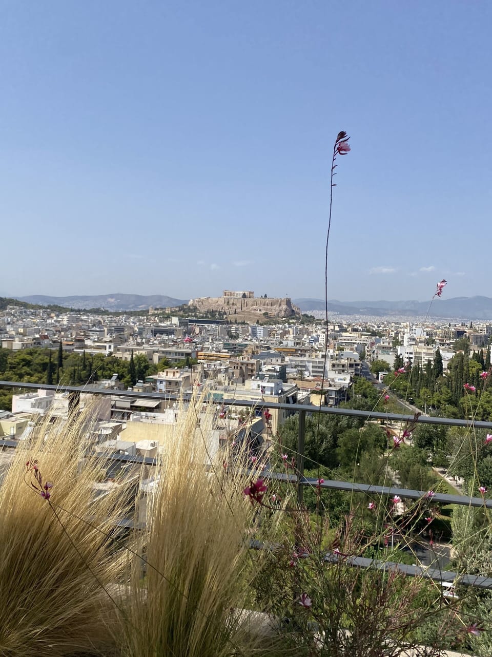 View from property