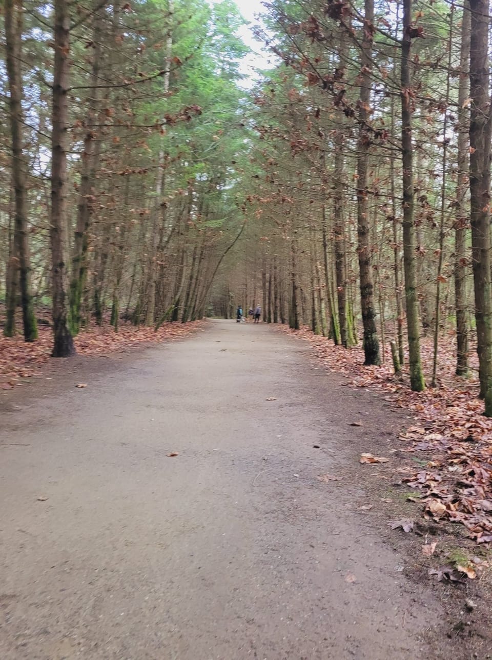 Trails in the surrounding area
