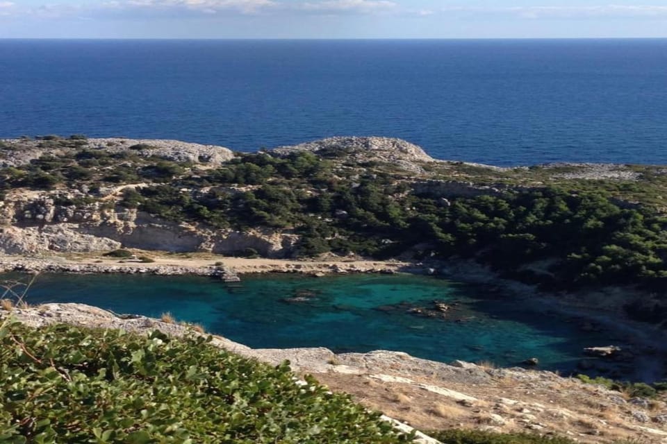 Region [summer] (>5 km)
