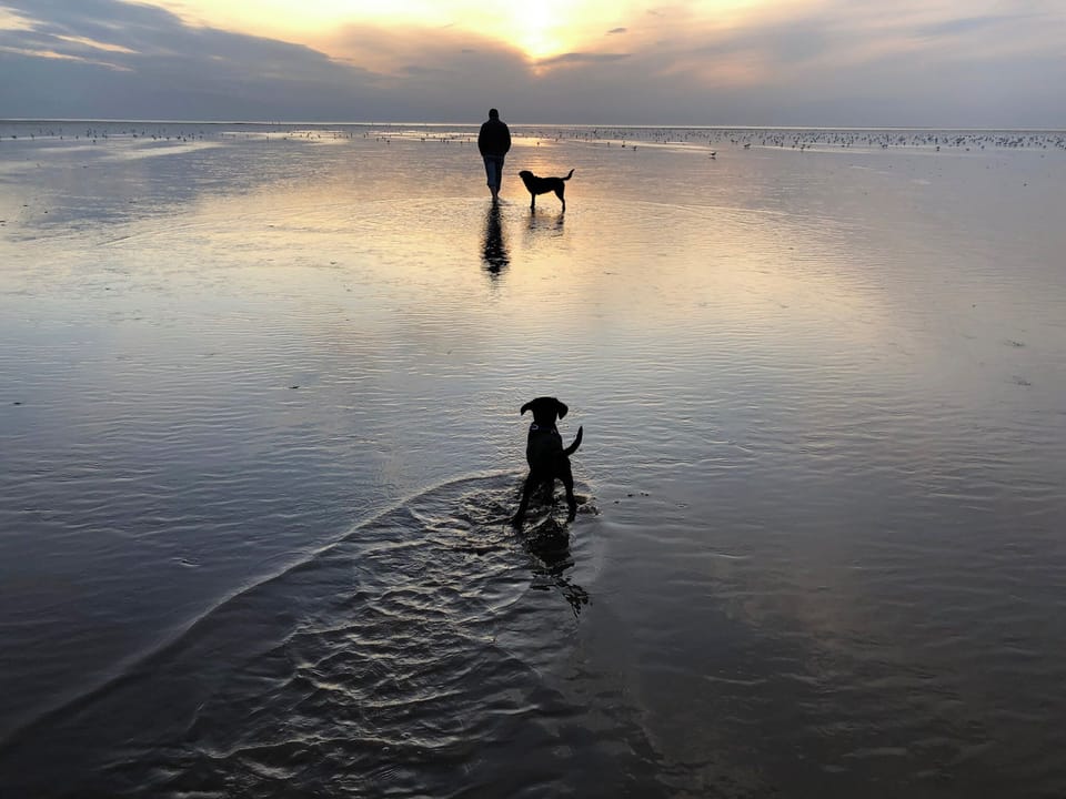 Dog Friendly Self-Catering Chalets just a 2 minute walk from our sunset beach