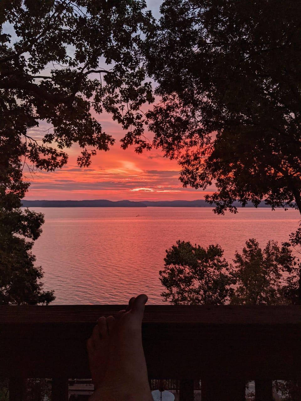 View from property