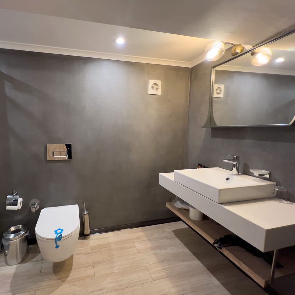 Standard Room | Bathroom | Shower, rainfall showerhead, free toiletries, hair dryer