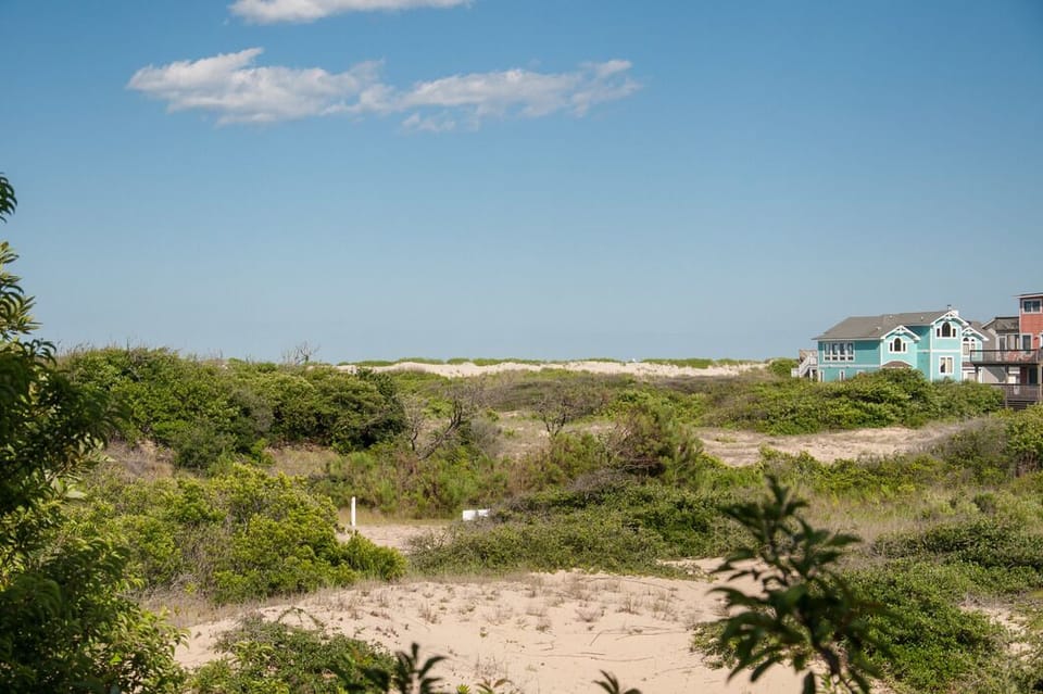 OSE02: Lion on the Beach | Mid Level Deck View