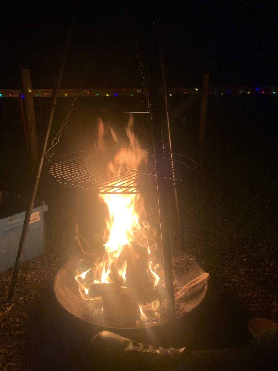 Wood provided for the fire pit 