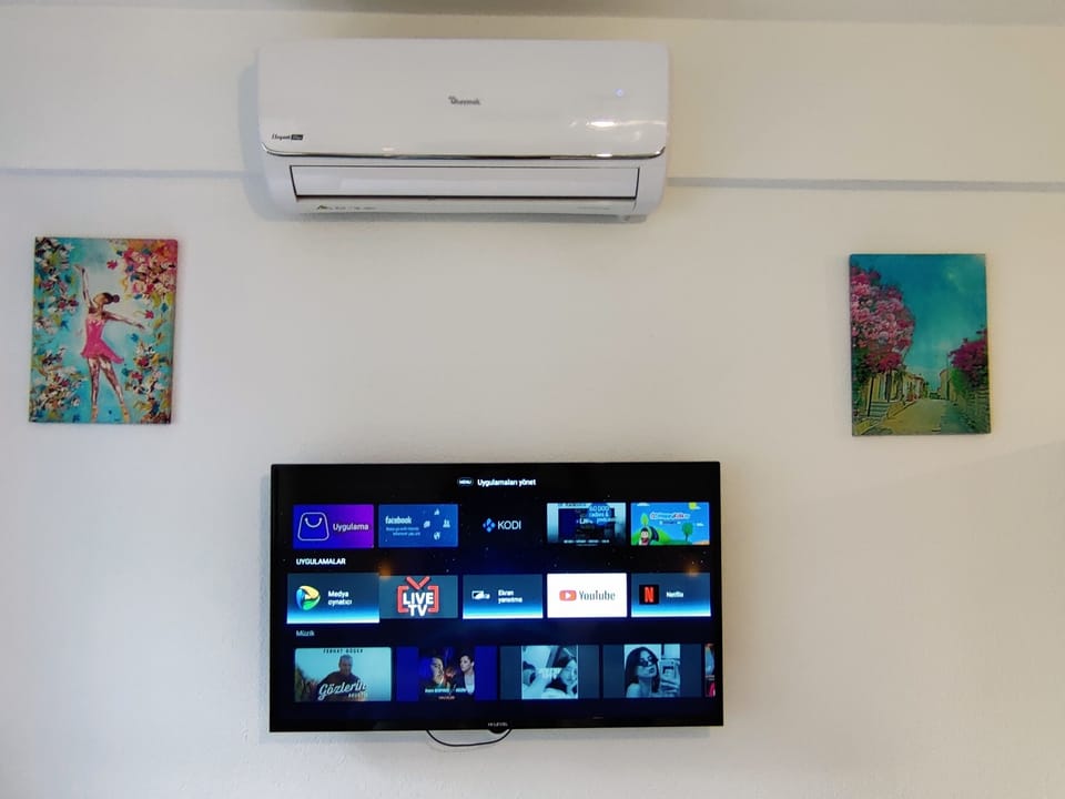Television