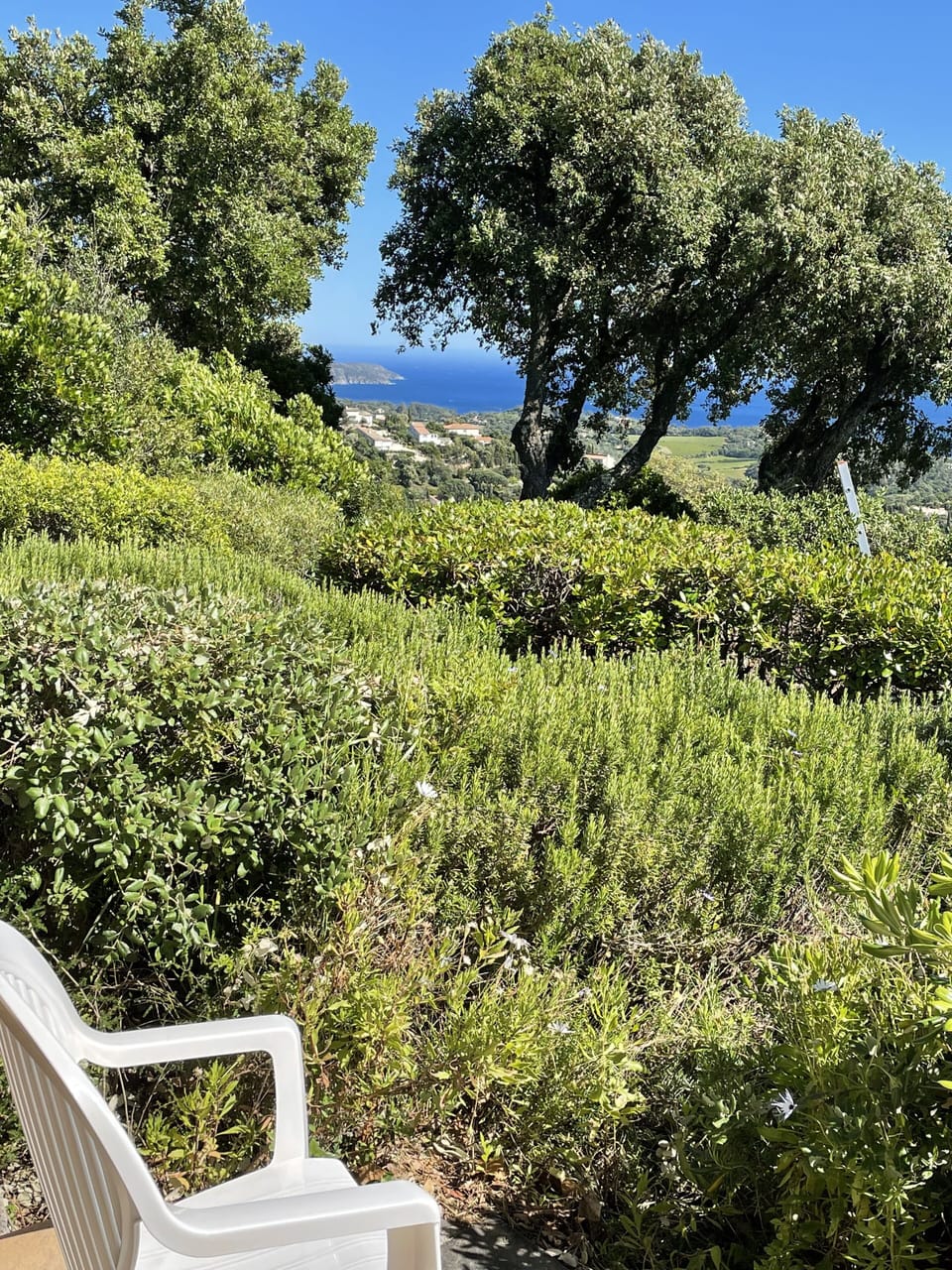 View from property