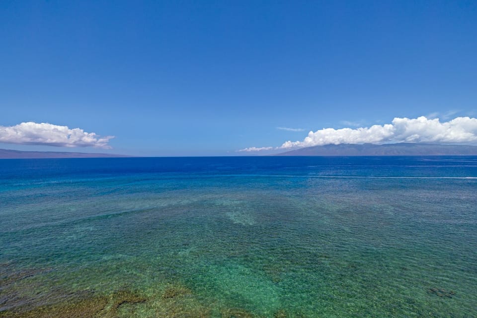 Reef below