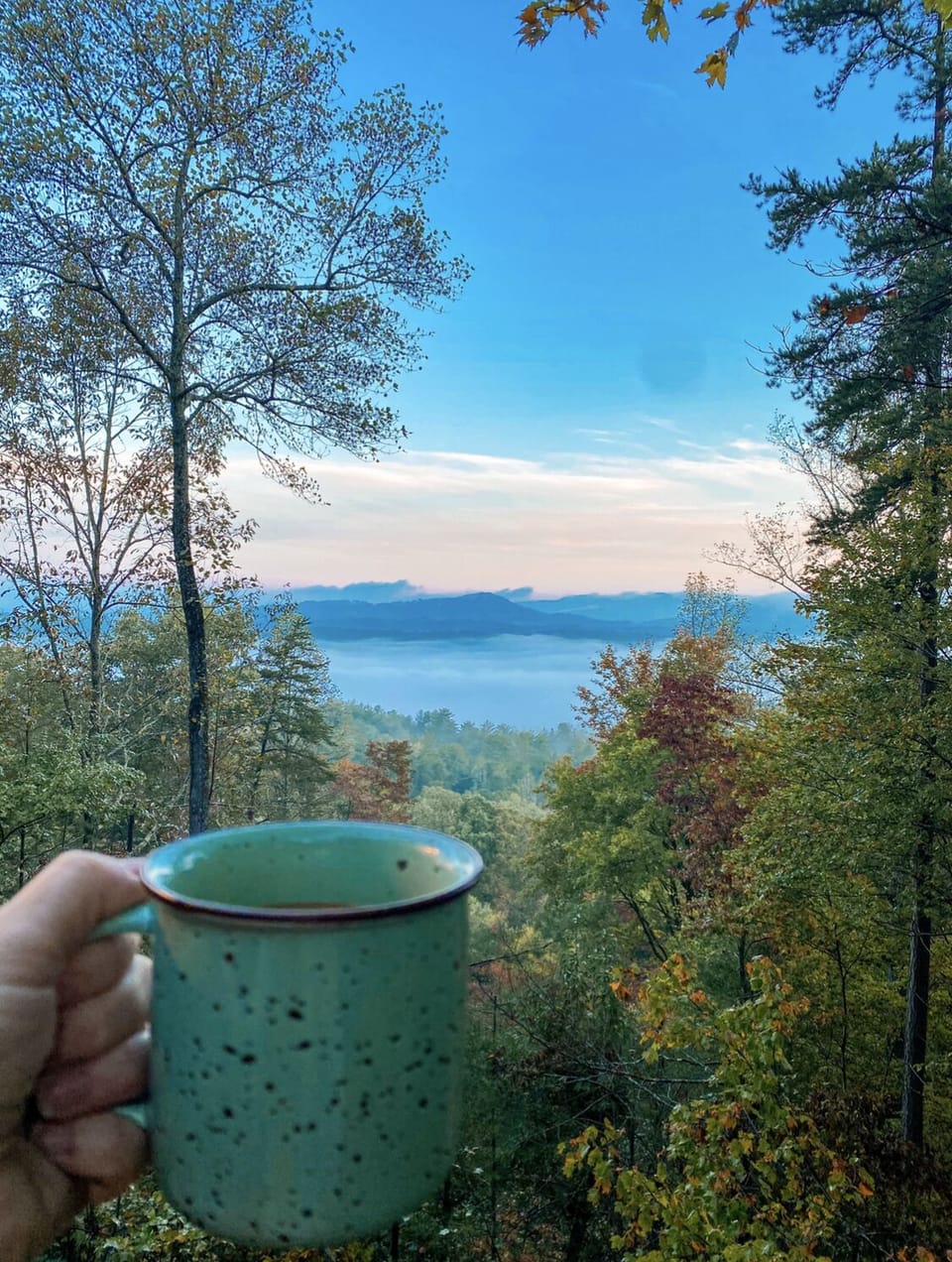 View from property