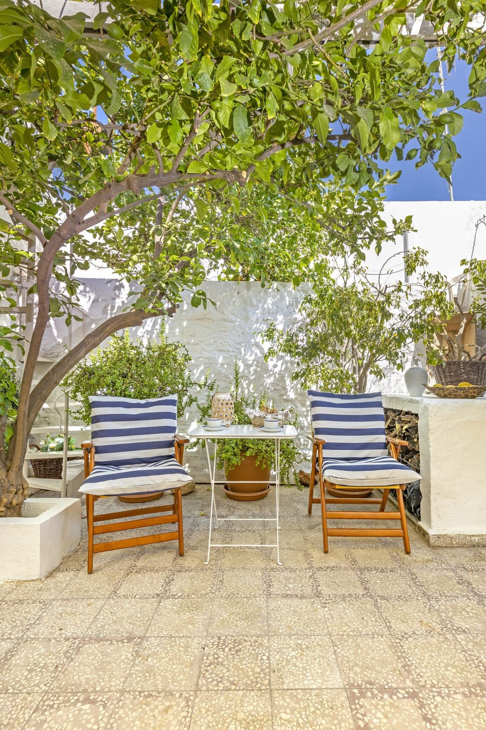 Garden , Patio