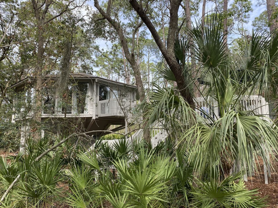 Deer Island is located on one of Sea Pines Forest Preserves!