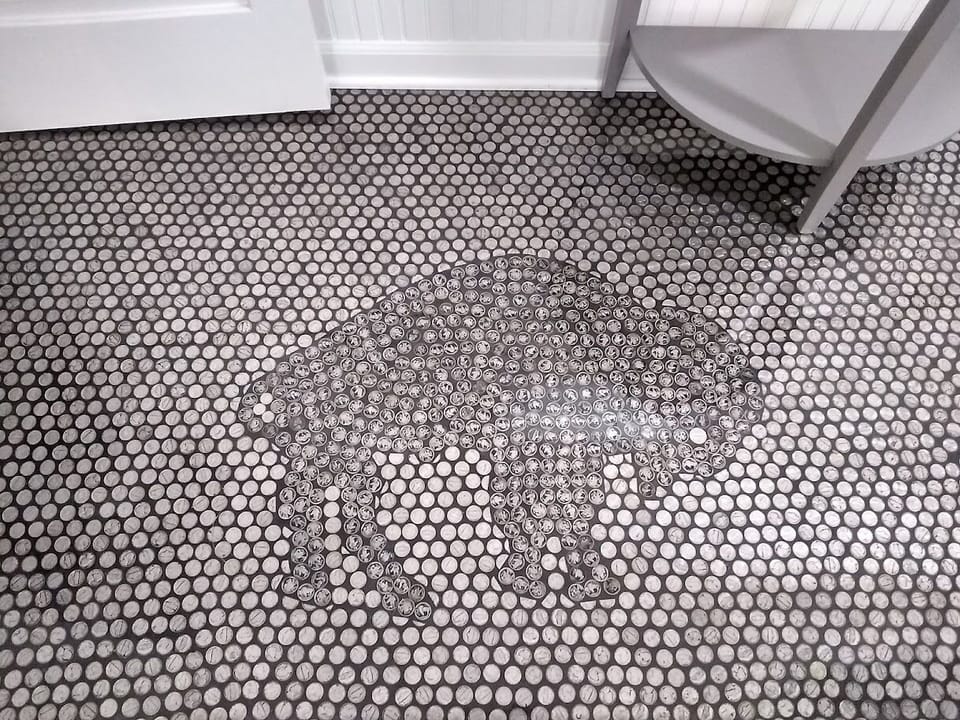 Lower bathroom buffalo nickel floor