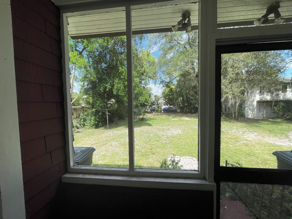 view out the back door into the back yard (also the parking area)