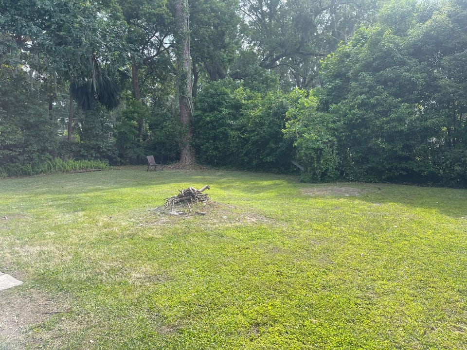 backyard - not currently fully fenced but great for your supervised pups