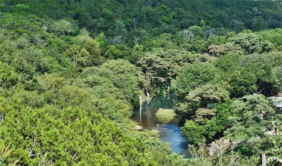 Stunning Guadalupe River View from the house.
