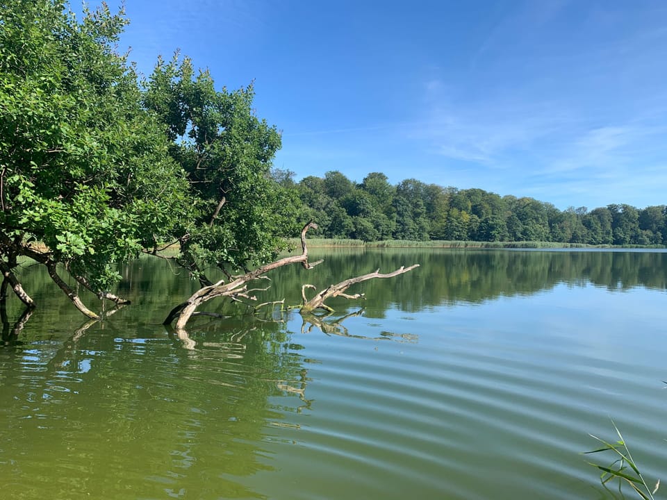 Lake
