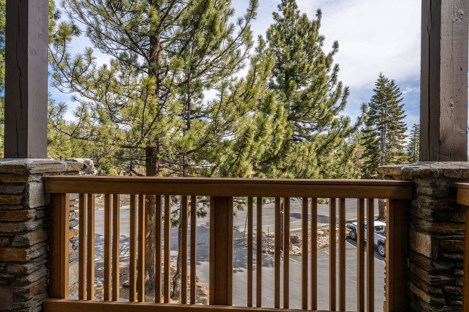 View from Patio