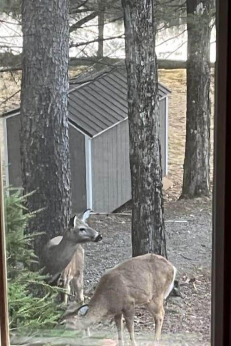 View from property