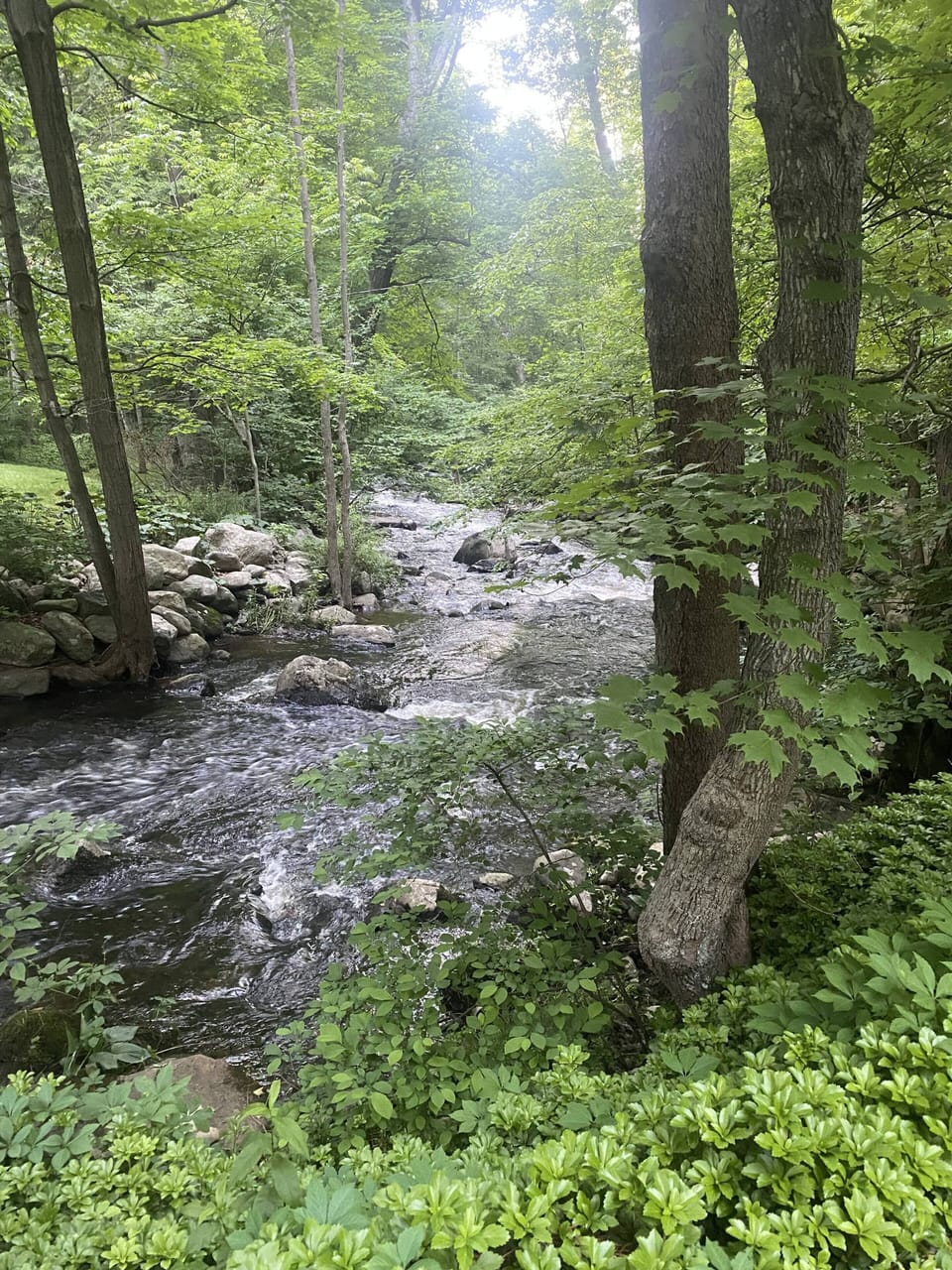 The Lodge comes with your very own babbling brook you can see and hear