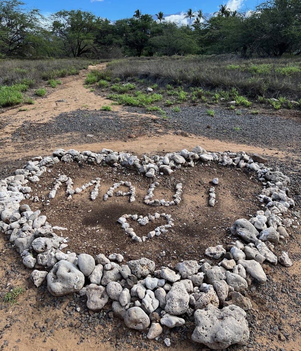 We love Maui!