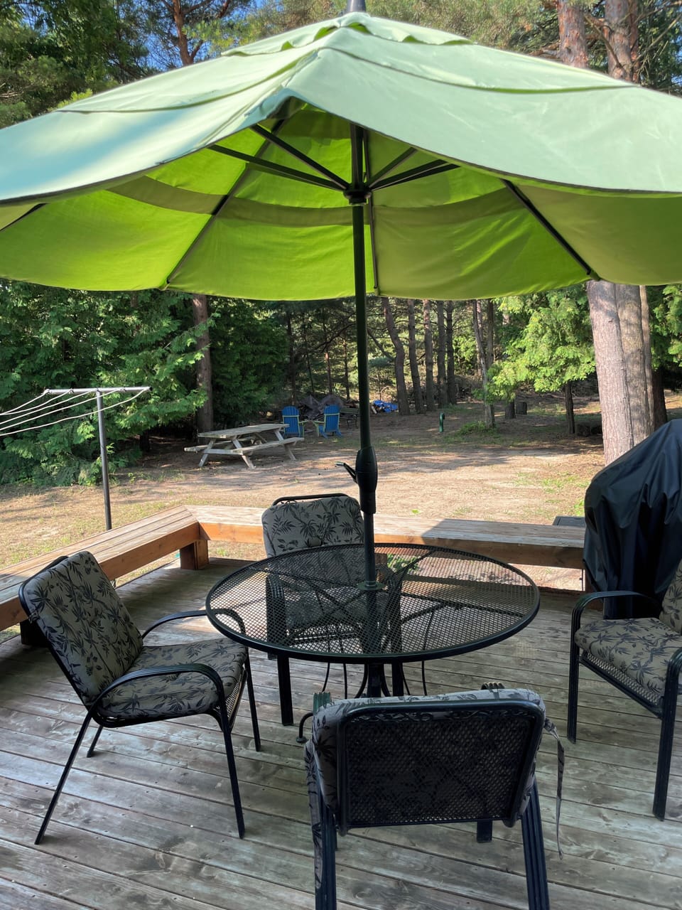 Back deck