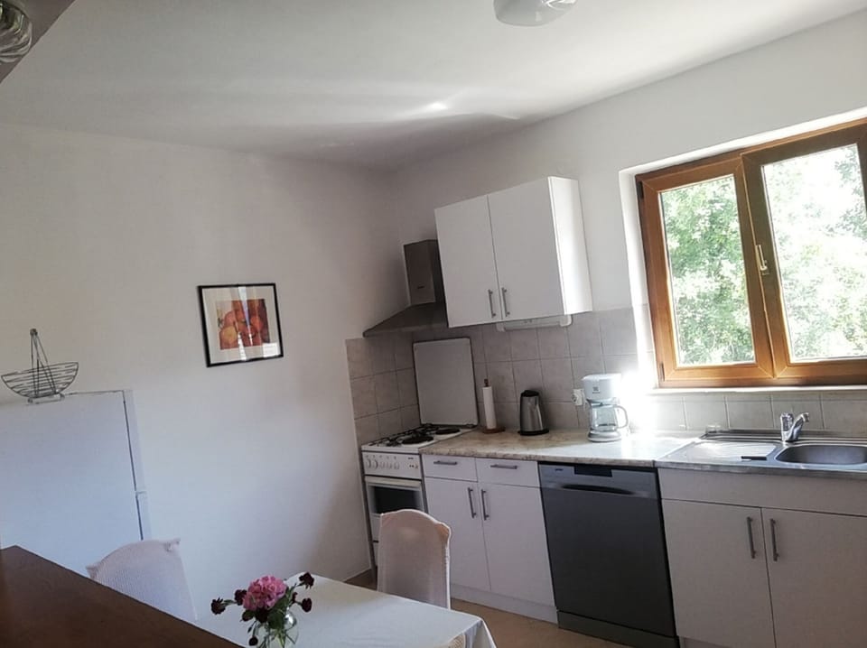 Apartment (Three Bedroom Apartment with Balcony ) | Private kitchen | Fridge