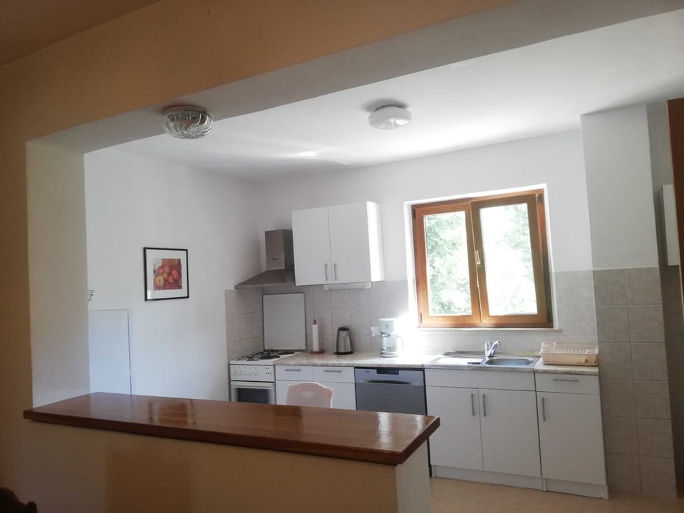 Apartment (Three Bedroom Apartment with Balcony ) | Private kitchen | Fridge