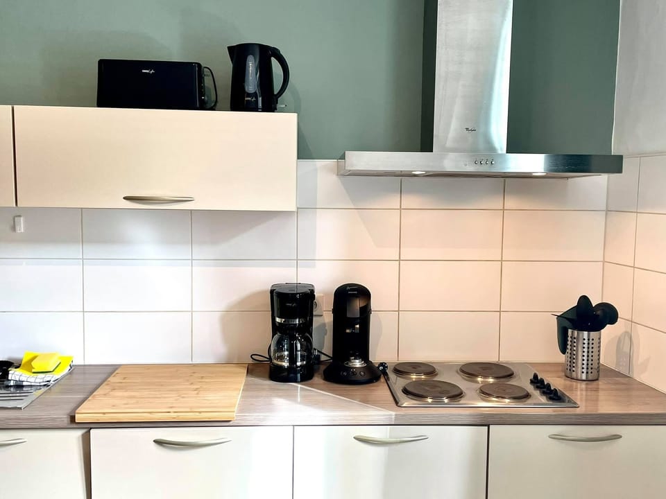 Standard Apartment | Private kitchen | Fridge, microwave, oven, stovetop