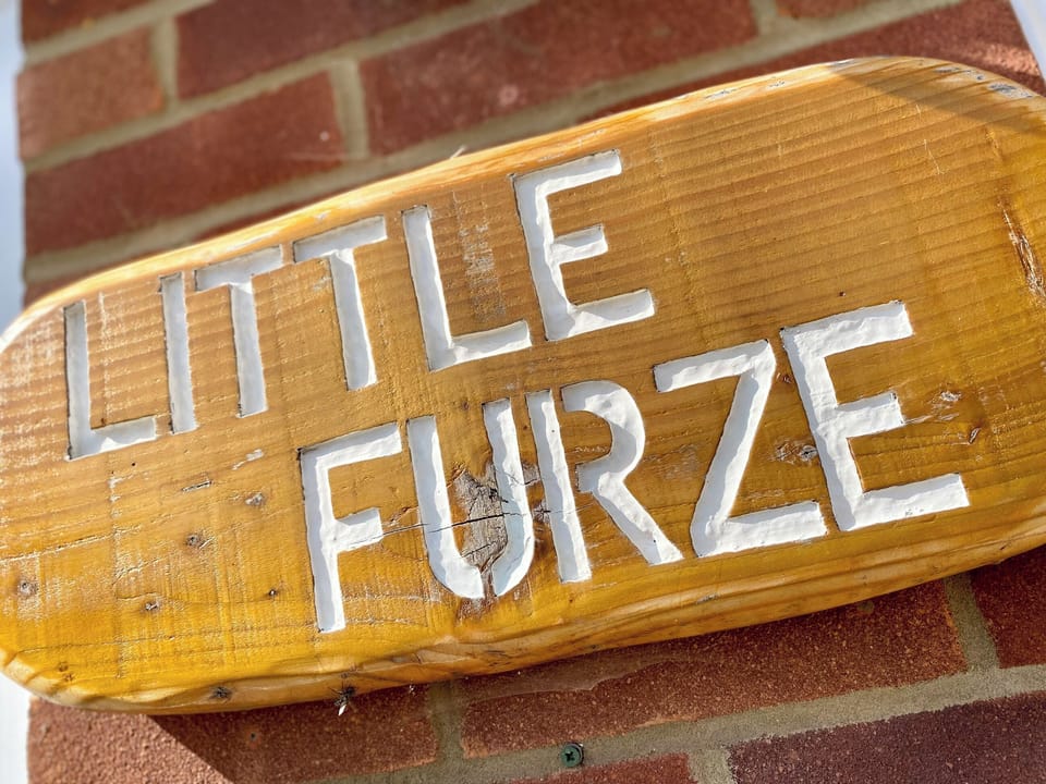 Outdoor area | The Little Furze, Pewsey