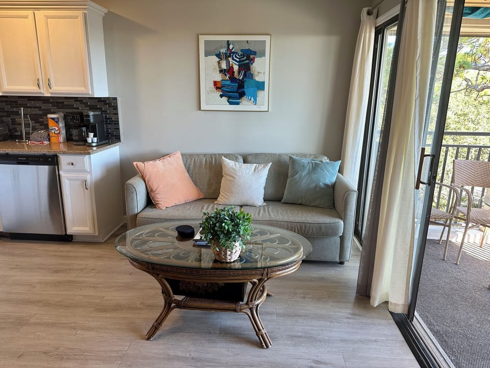 Living room - Queen sleeper sofa